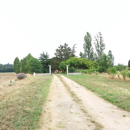 Charmante Dependance En Campagne Samatan Εξωτερικό φωτογραφία